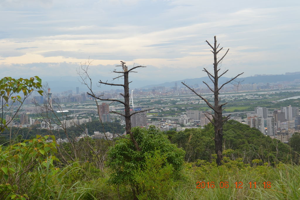 DSC_0102 DSC_0102