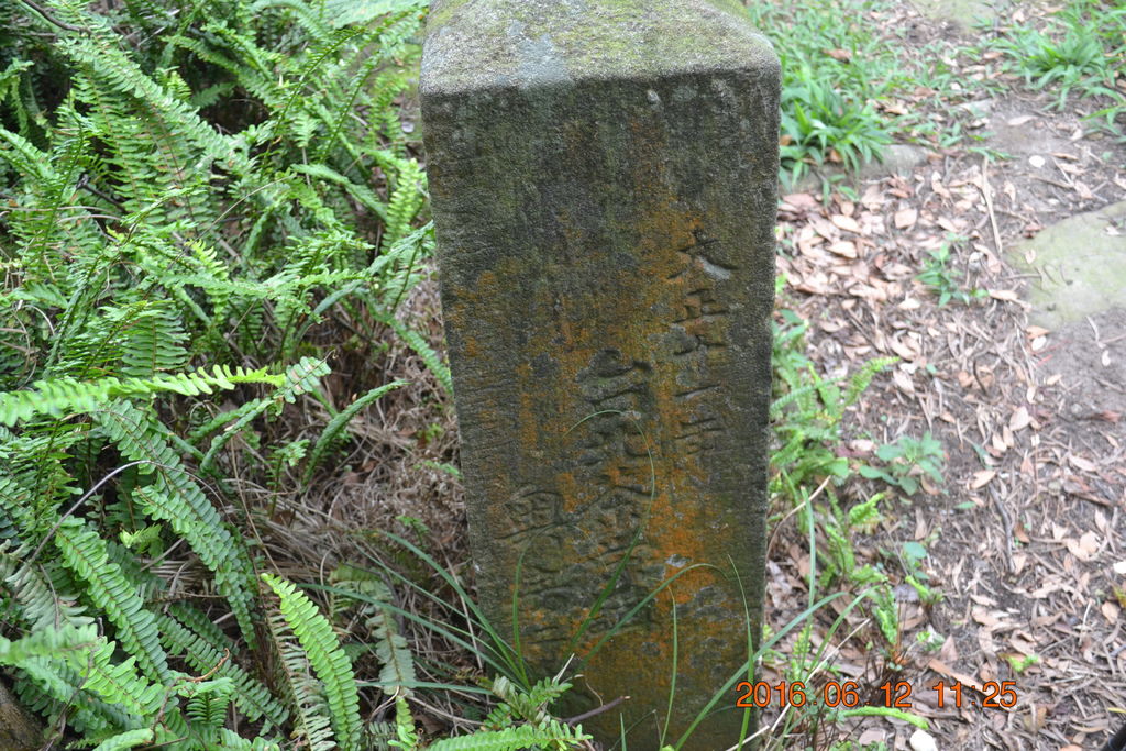 DSC_0117 DSC_0117