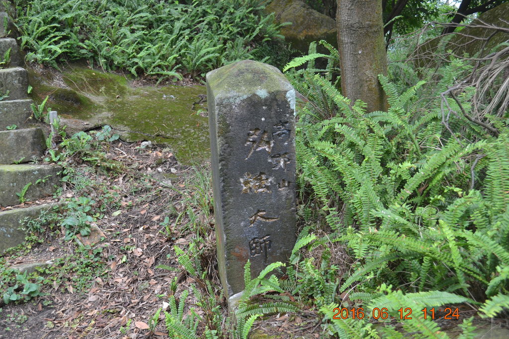 DSC_0115 DSC_0115