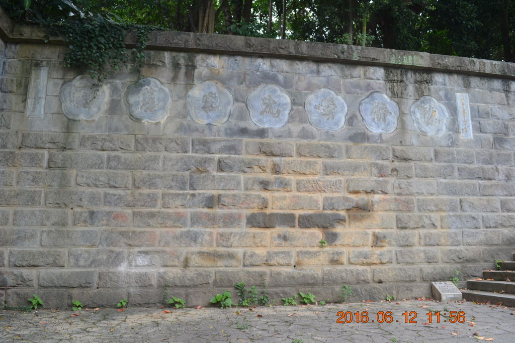 DSC_0149.JPG DSC_0149.JPG