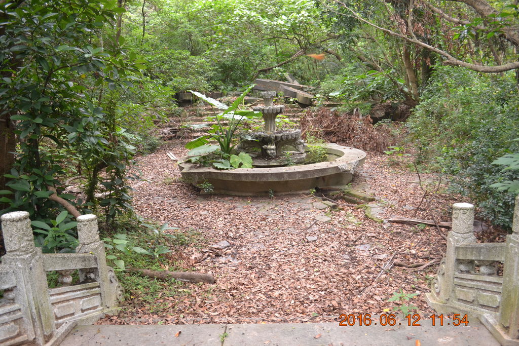 DSC_0145.JPG DSC_0145.JPG