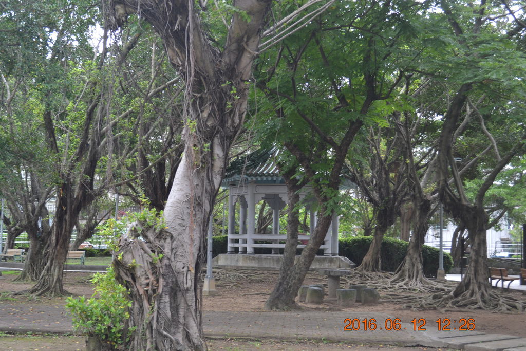 DSC_0158.JPG DSC_0158.JPG