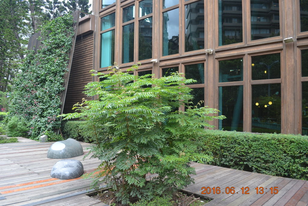 DSC_0190.JPG DSC_0190.JPG
