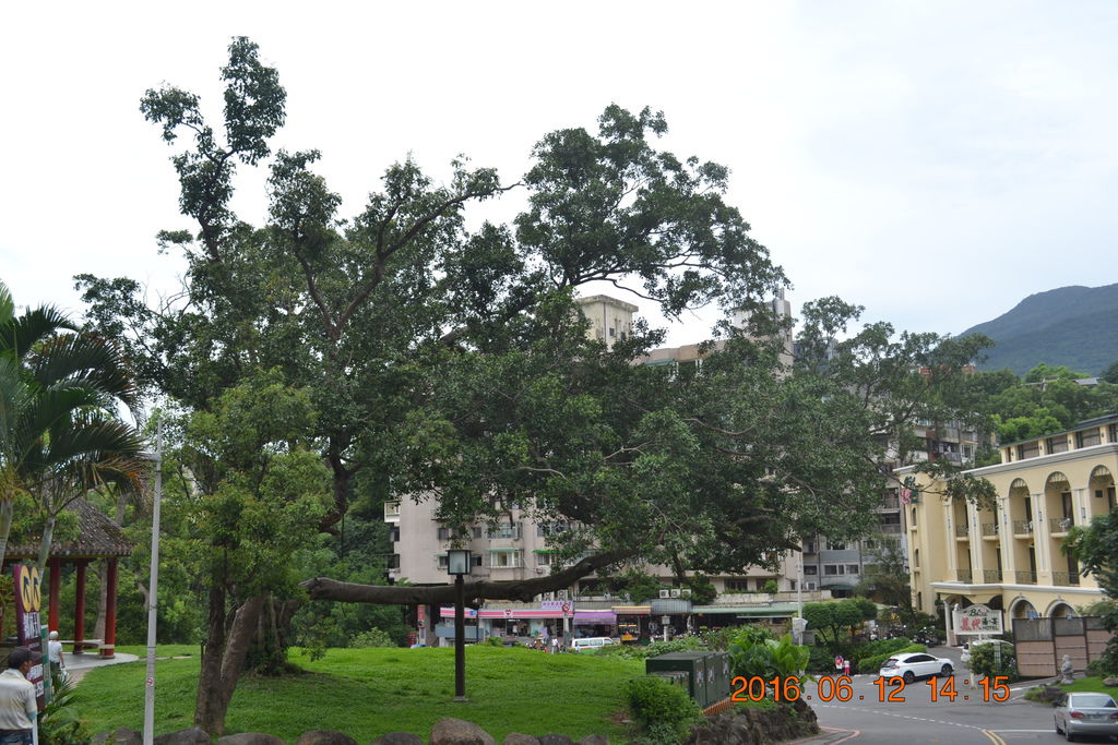 DSC_0301.JPG DSC_0301.JPG