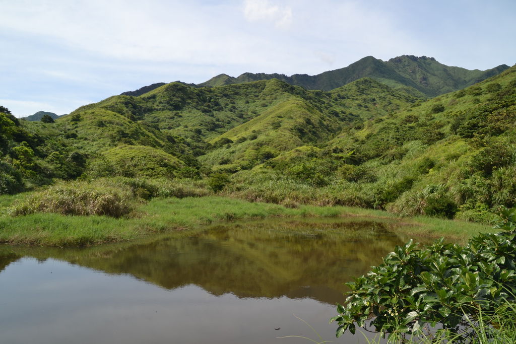 DSC_0232.JPG DSC_0232.JPG