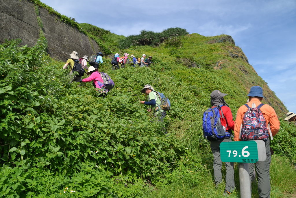 DSC_0225.JPG DSC_0225.JPG