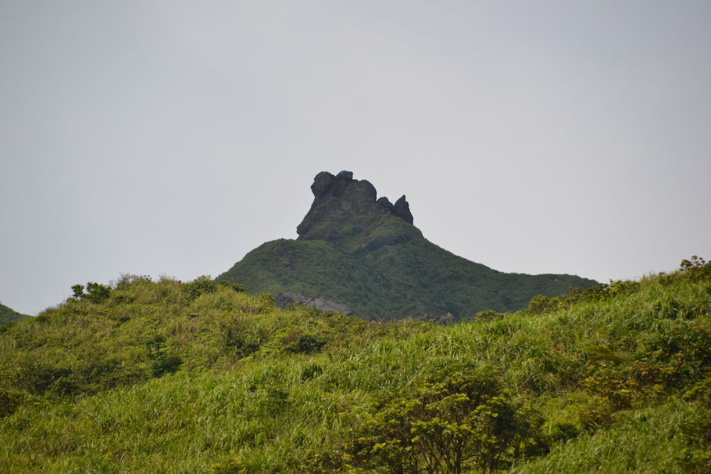 DSC_0233.JPG DSC_0233.JPG