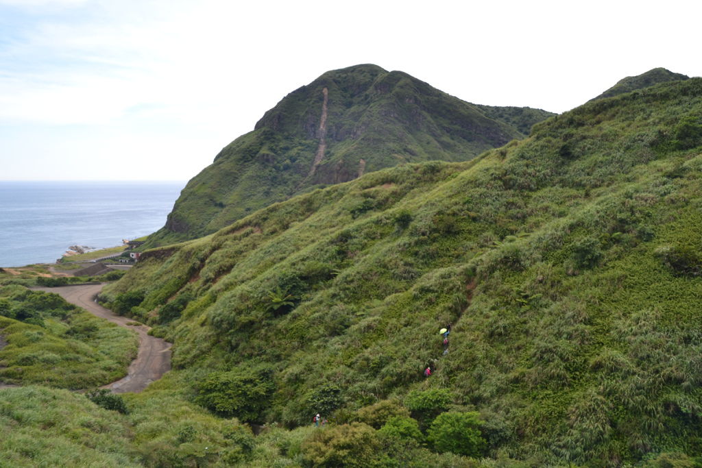 DSC_0246.JPG DSC_0246.JPG