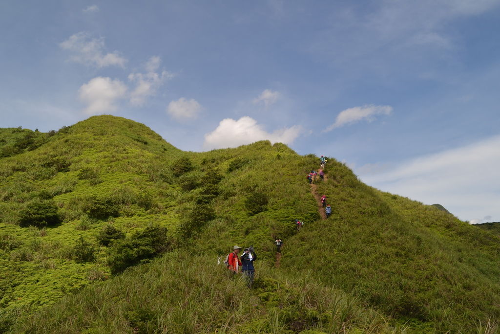 DSC_0242.JPG DSC_0242.JPG