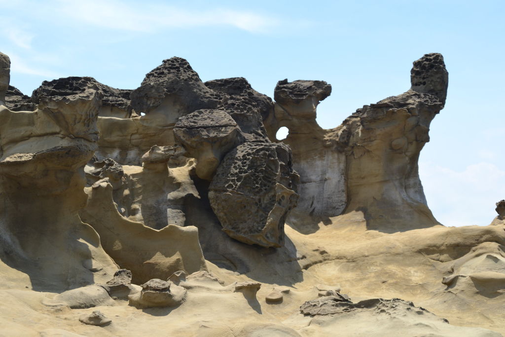 DSC_0321.JPG DSC_0321.JPG