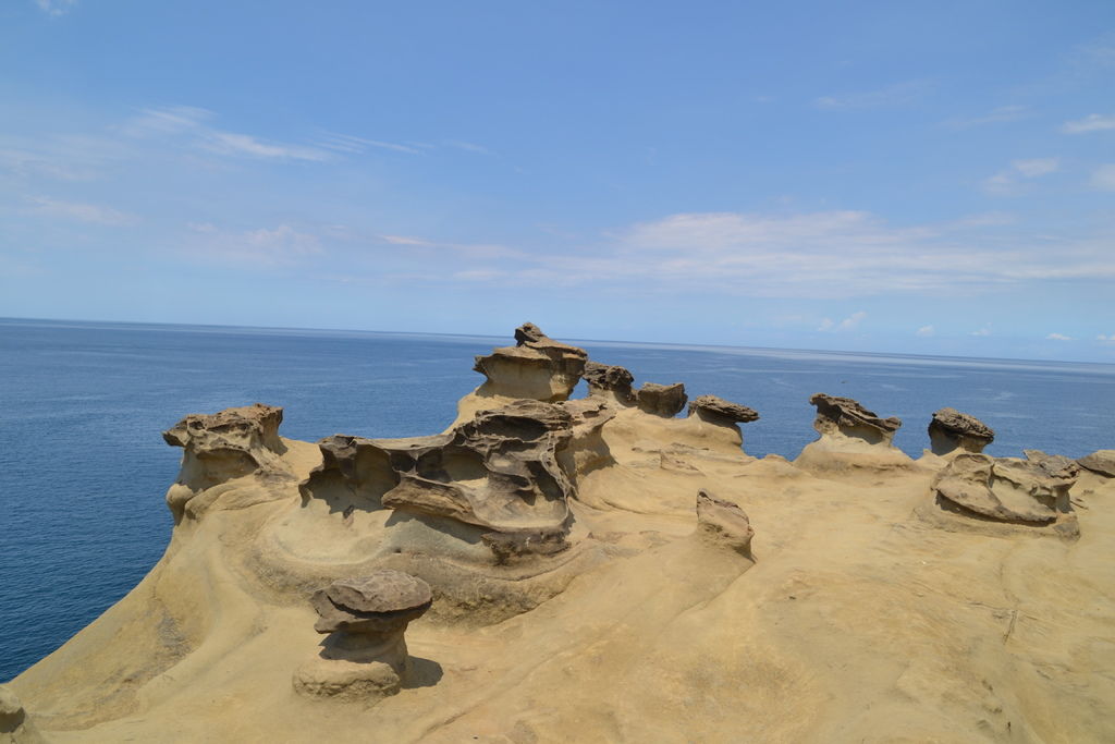 DSC_0333.JPG DSC_0333.JPG