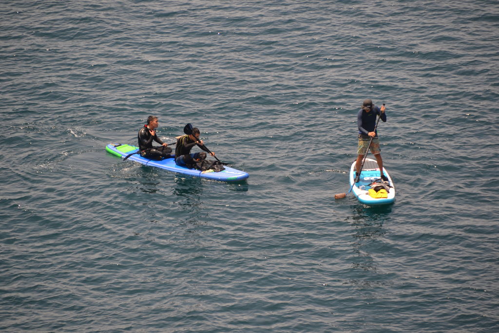 DSC_0340.JPG DSC_0340.JPG