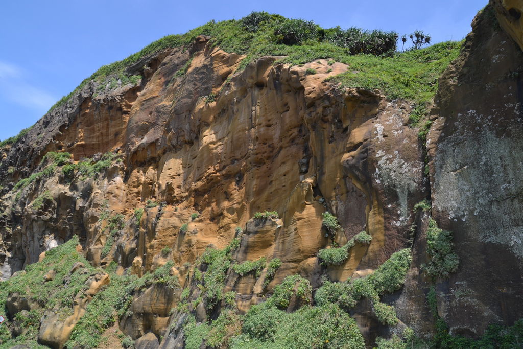 DSC_0391.JPG DSC_0391.JPG