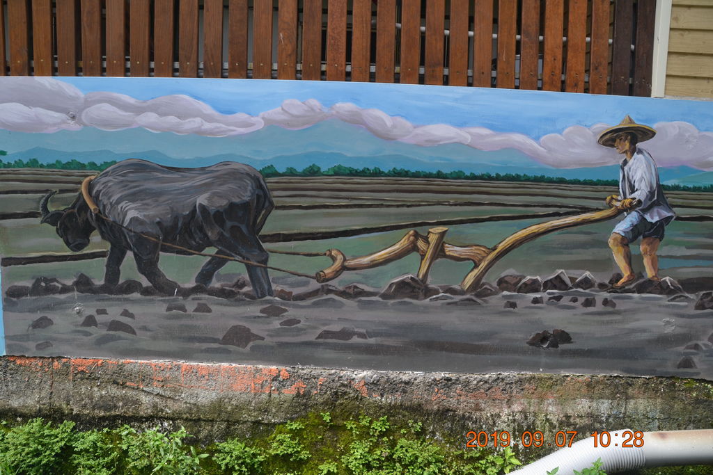 DSC_0014.JPG DSC_0014.JPG