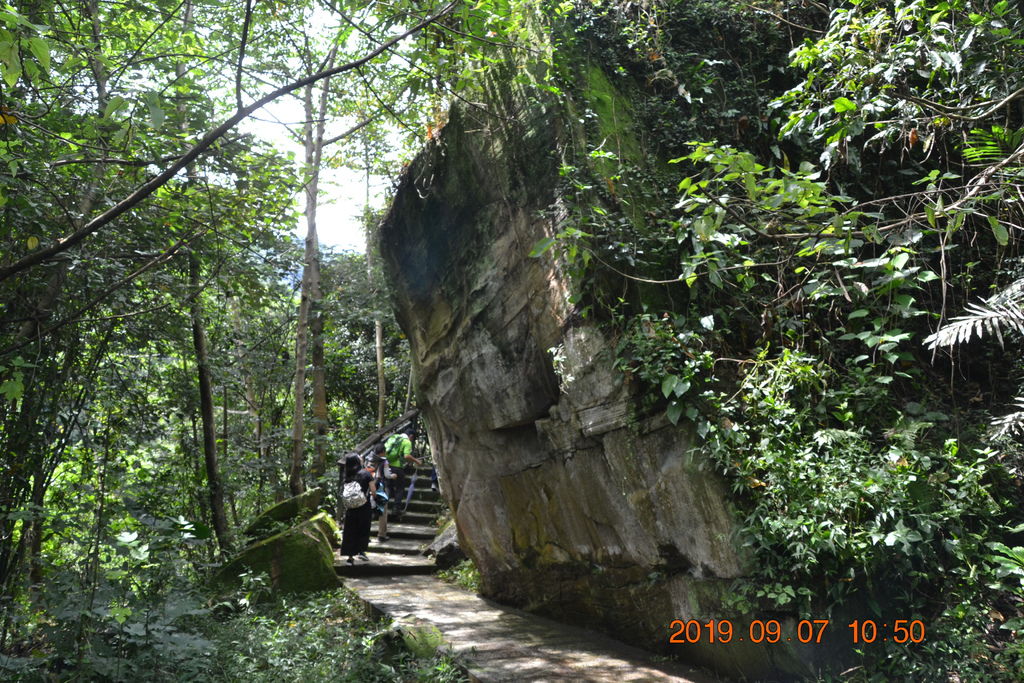 DSC_0050.JPG DSC_0050.JPG