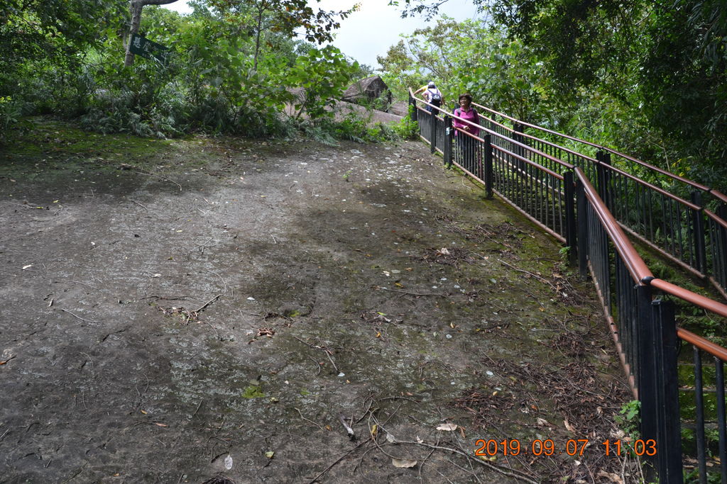 DSC_0096.JPG DSC_0096.JPG