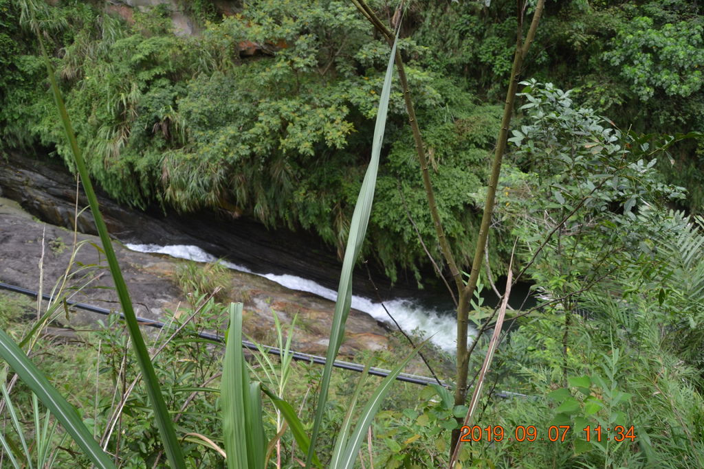 DSC_0141.JPG DSC_0141.JPG