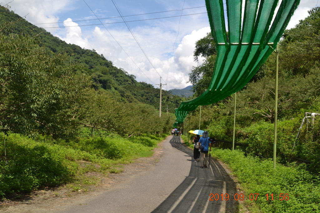DSC_0165.JPG DSC_0165.JPG