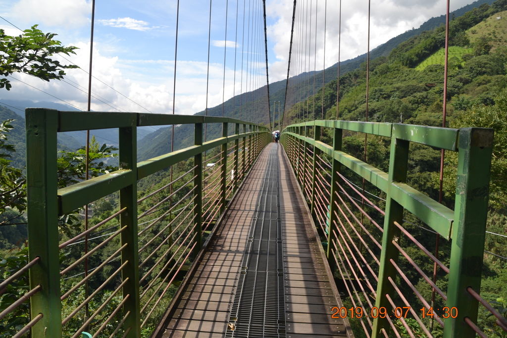 DSC_0264.JPG DSC_0264.JPG