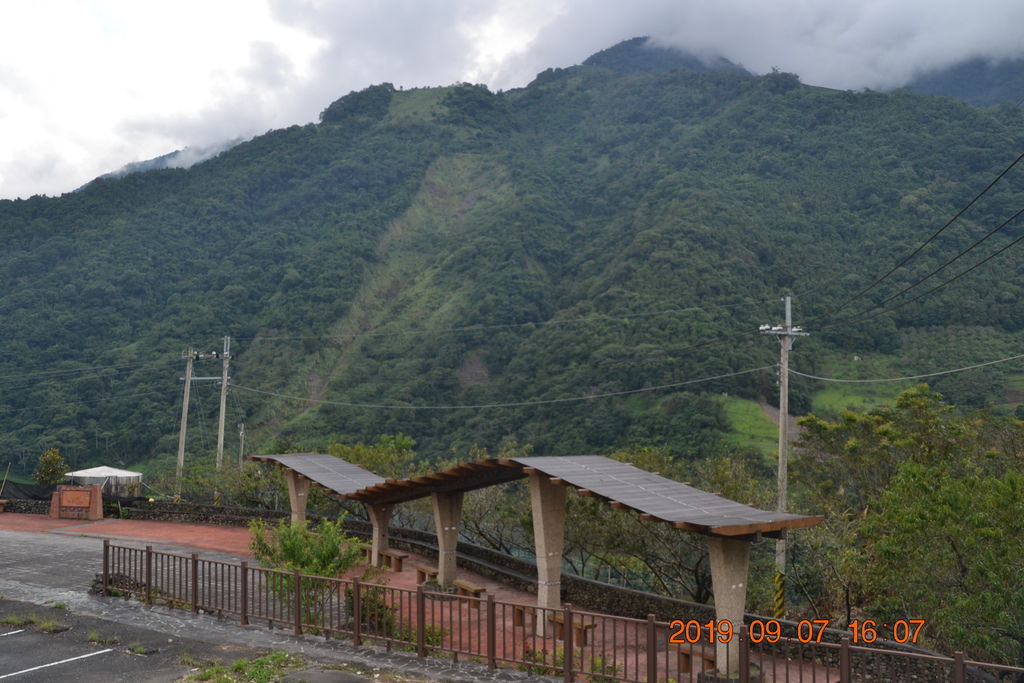DSC_0310.JPG DSC_0310.JPG