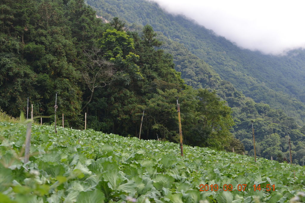 DSC_0285.JPG DSC_0285.JPG