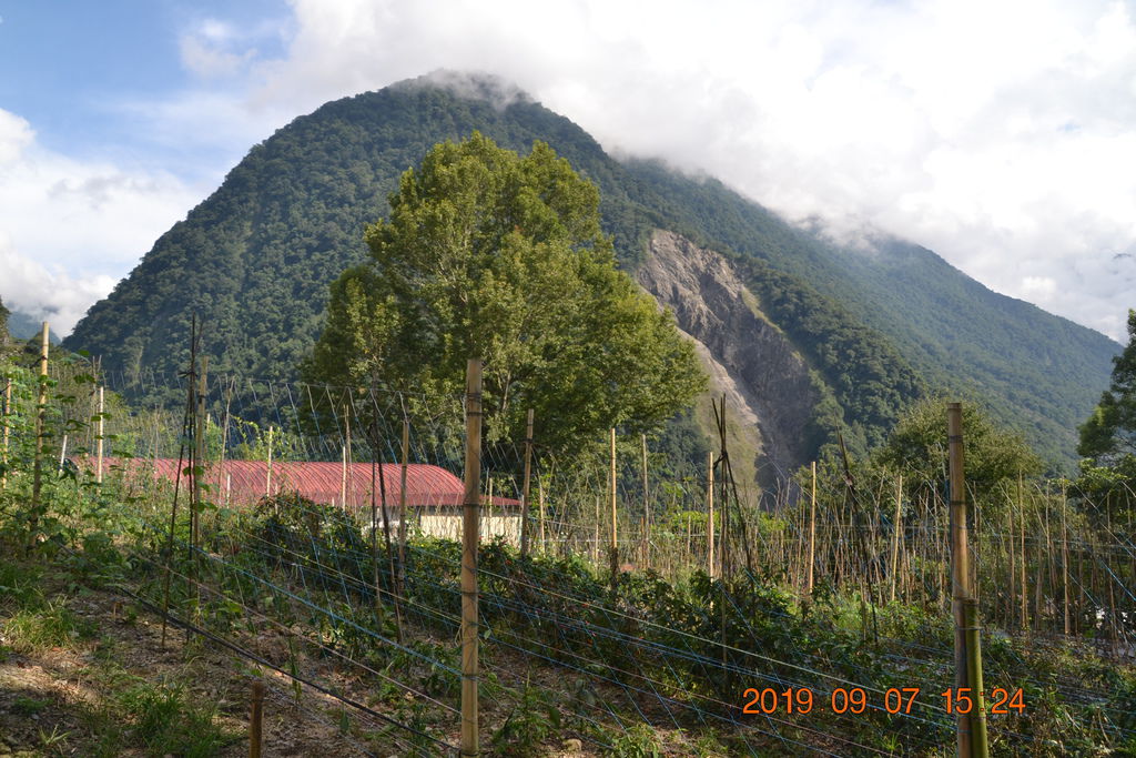 DSC_0301.JPG DSC_0301.JPG