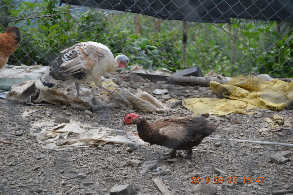 DSC_0304.JPG DSC_0304.JPG