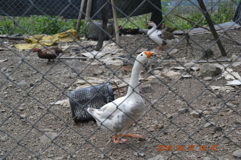 DSC_0303.JPG DSC_0303.JPG