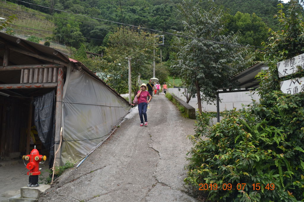 DSC_0307.JPG DSC_0307.JPG