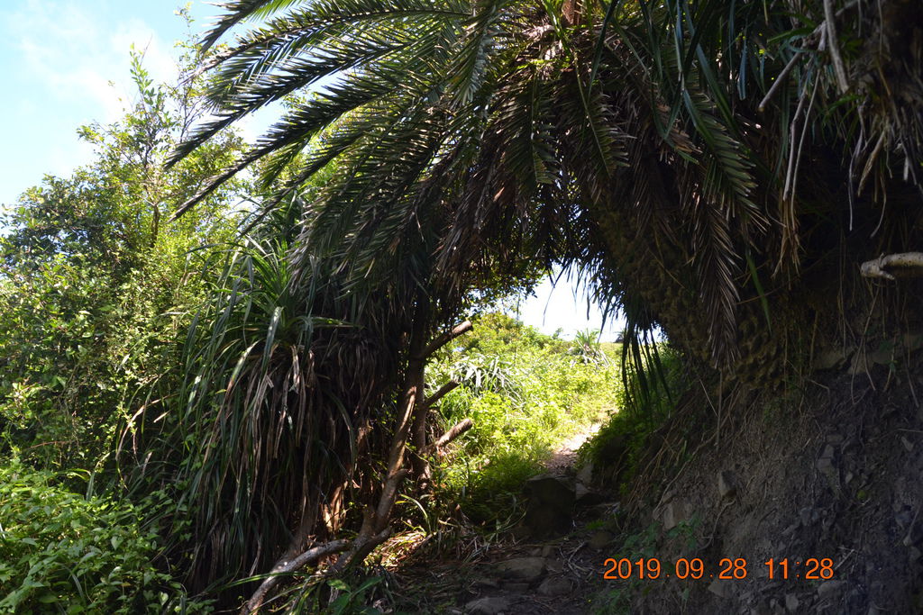 DSC_0046.JPG DSC_0046.JPG
