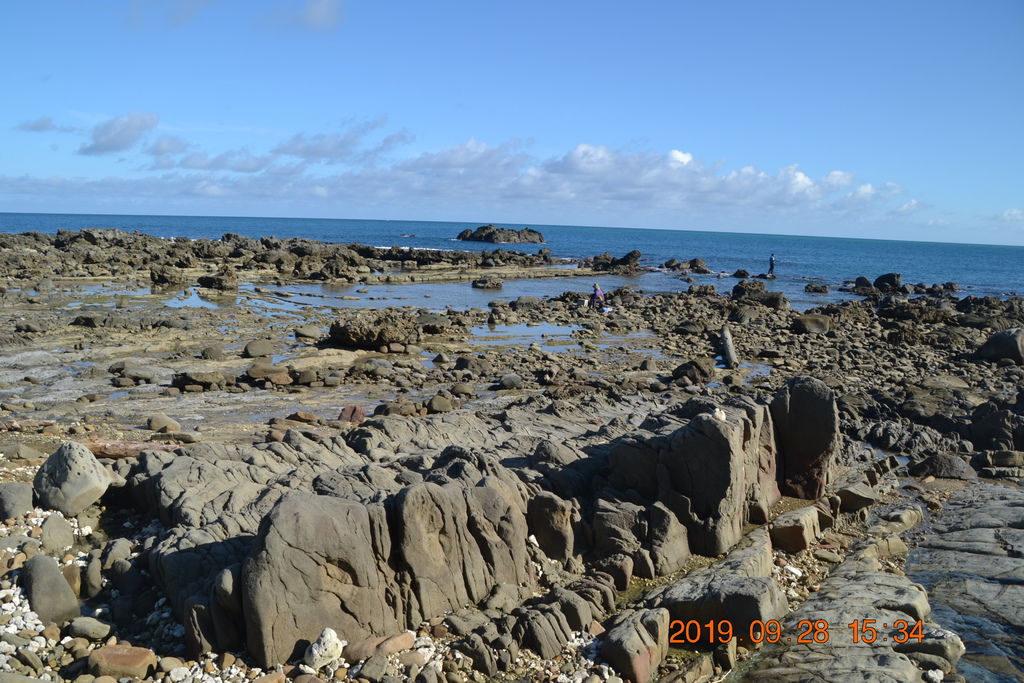 DSC_0121.JPG DSC_0121.JPG