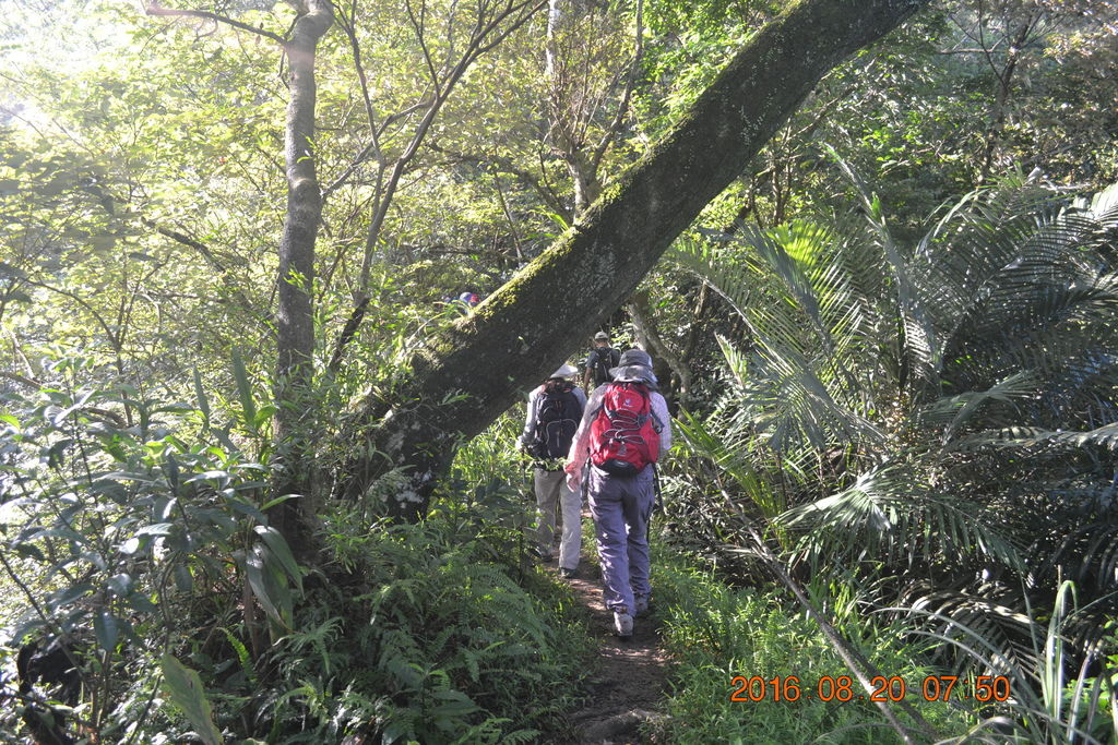 DSC_0008.JPG DSC_0008.JPG
