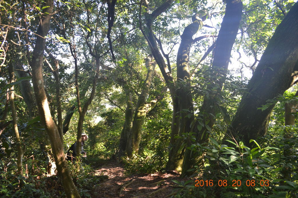 DSC_0015.JPG DSC_0015.JPG