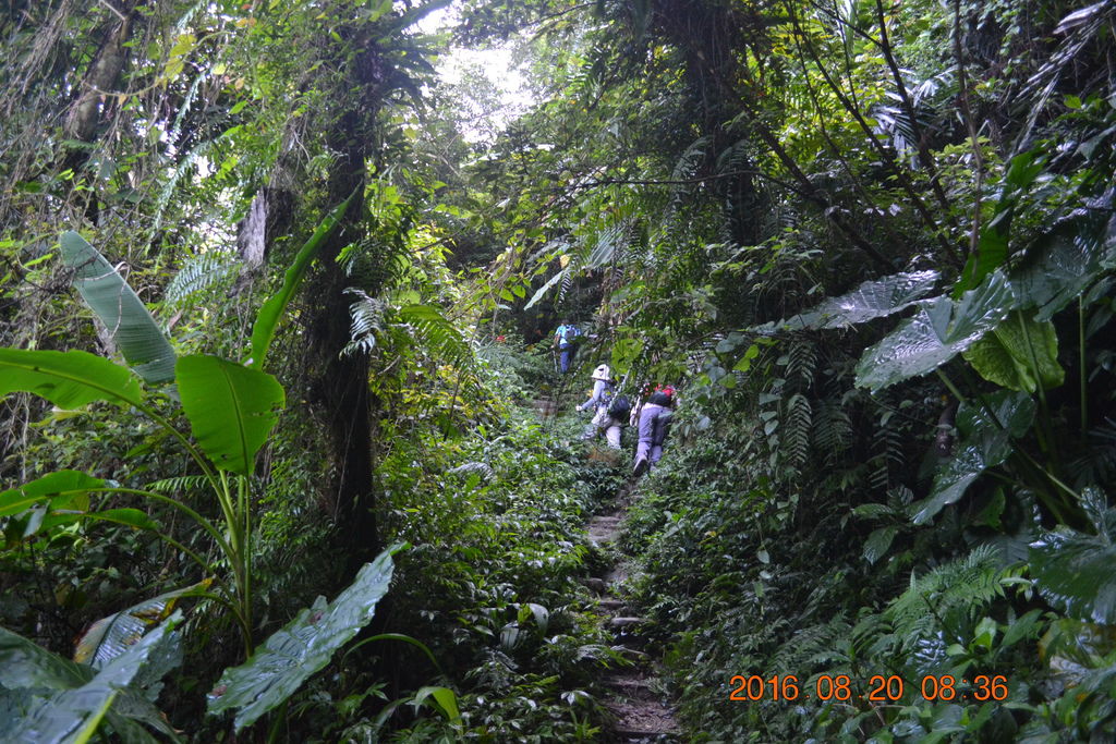 DSC_0027.JPG DSC_0027.JPG