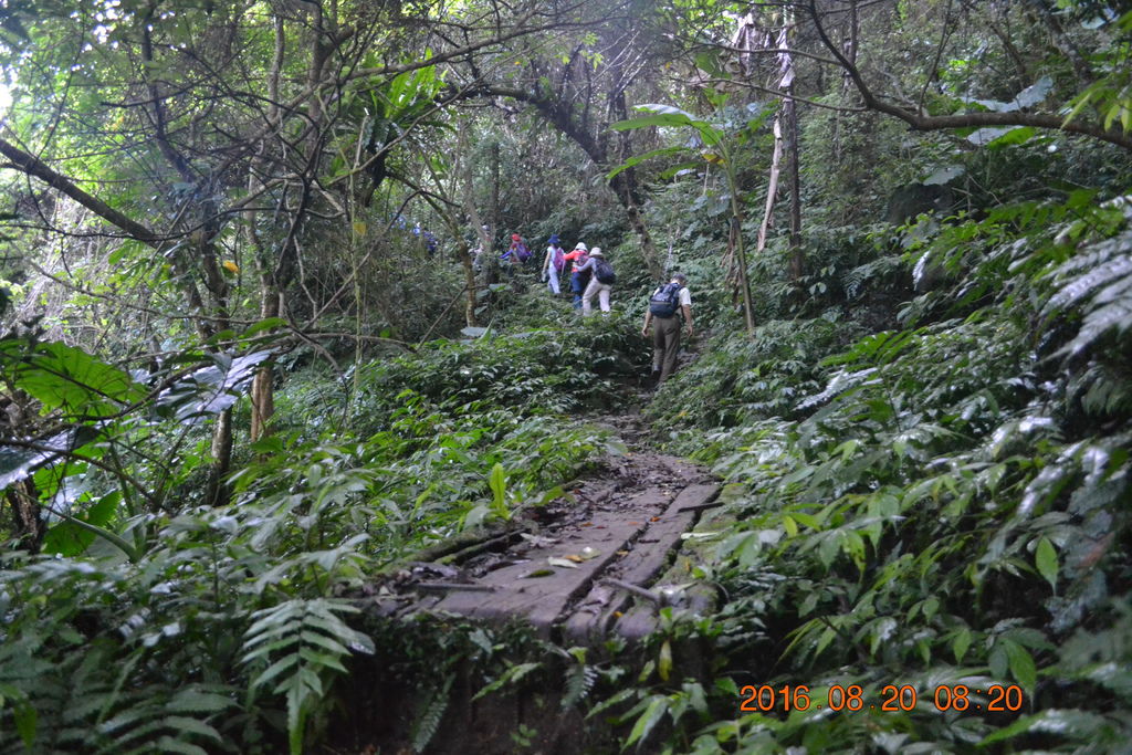 桃園頭寮山、溪洲山、新溪州山、石門水庫登山