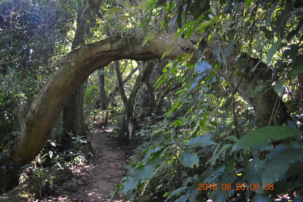 DSC_0039.JPG DSC_0039.JPG