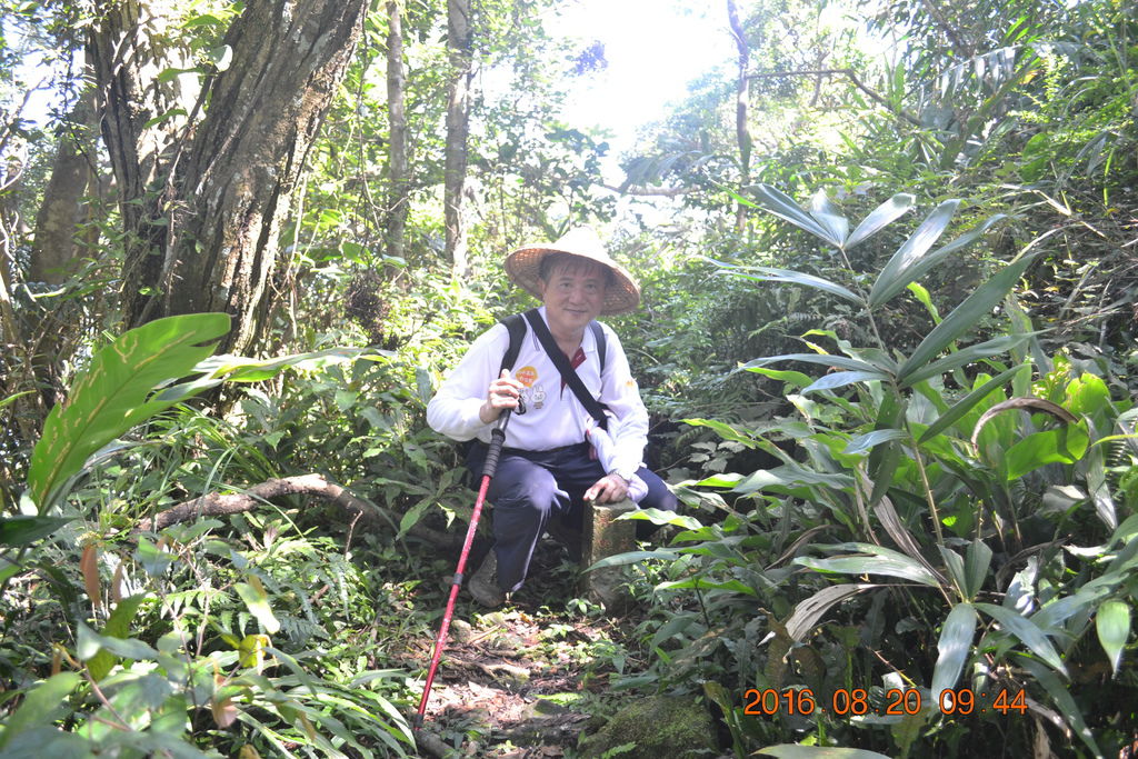 DSC_0055.JPG DSC_0055.JPG