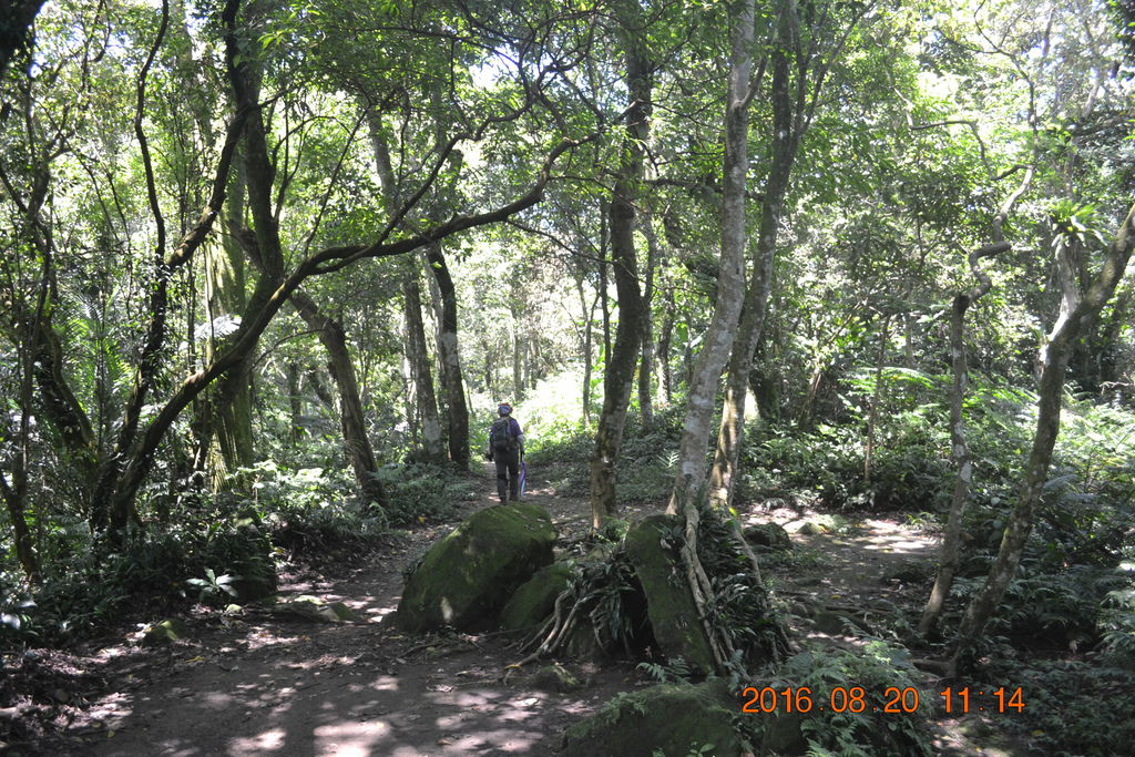 DSC_0080.JPG DSC_0080.JPG