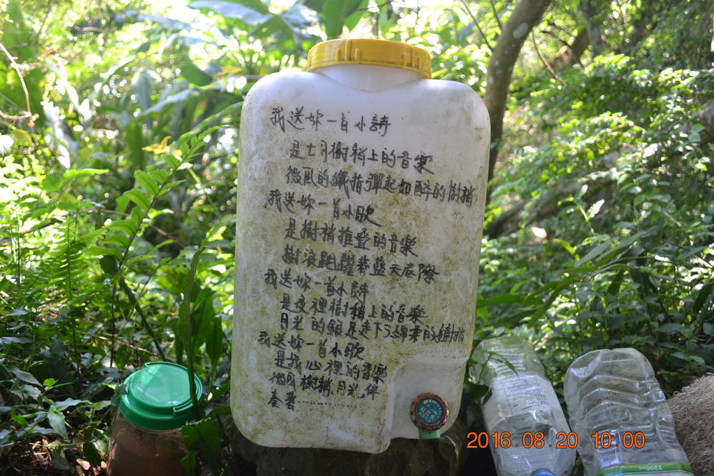 DSC_0072.JPG DSC_0072.JPG