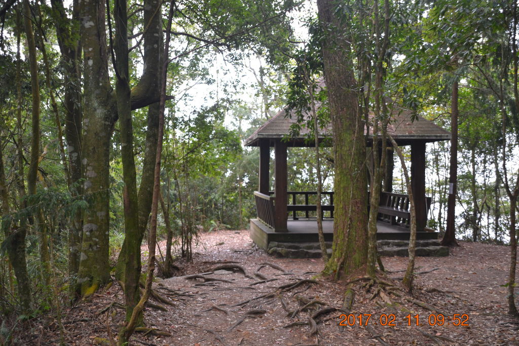 DSC_0007.JPG DSC_0007.JPG