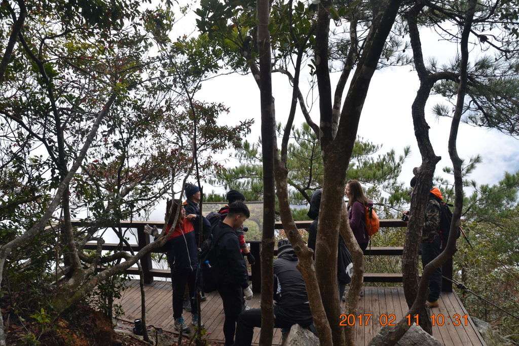 DSC_0030.JPG DSC_0030.JPG
