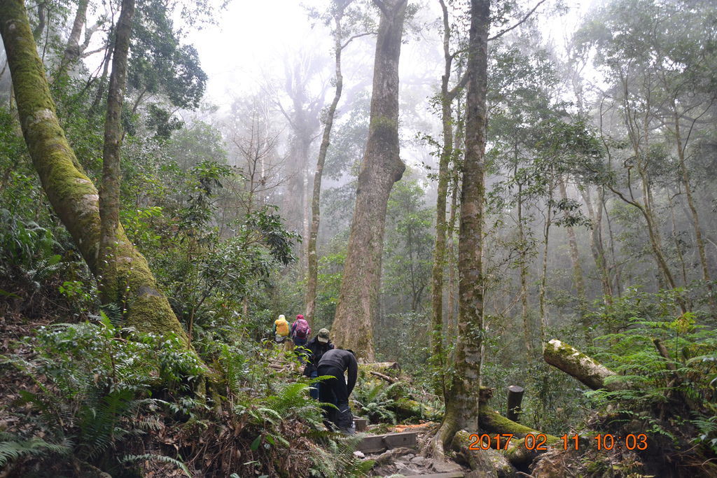 台中鳶嘴山-樂活家族登山