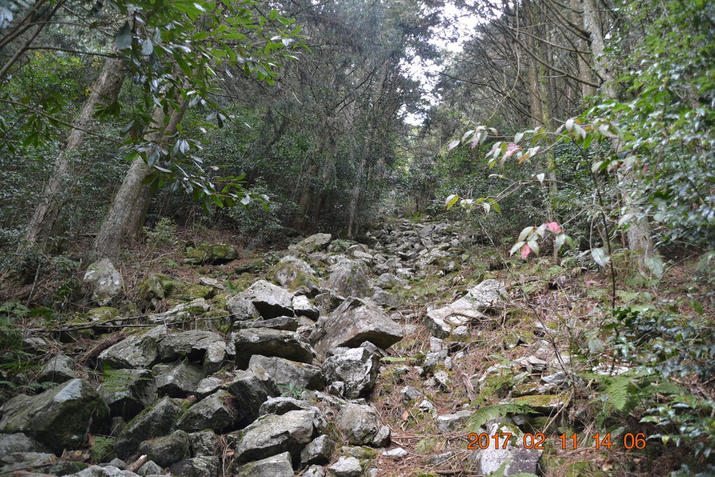 DSC_0170.JPG DSC_0170.JPG