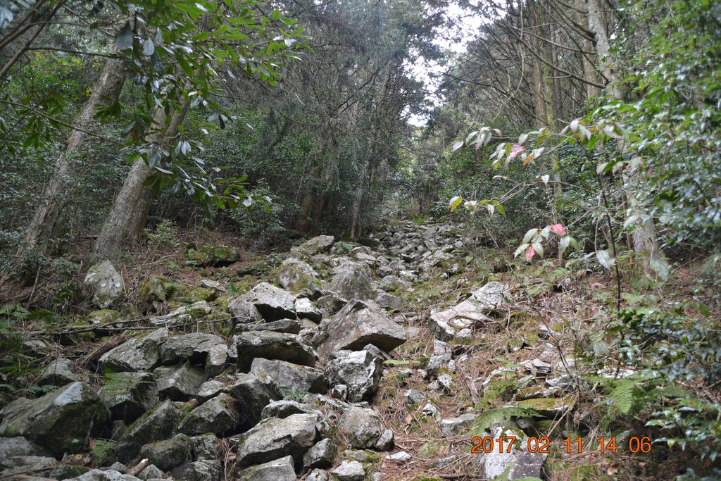 台中鳶嘴山-樂活家族登山