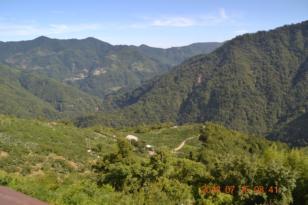 DSC_0008.JPG DSC_0008.JPG