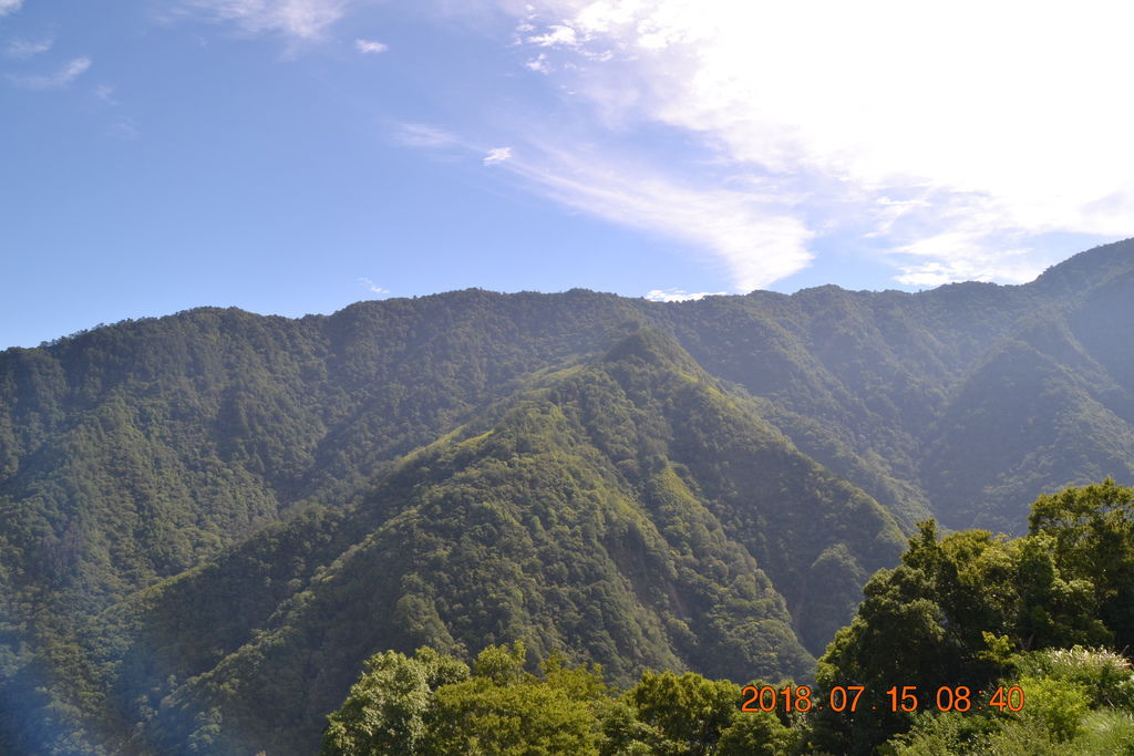 DSC_0007.JPG DSC_0007.JPG