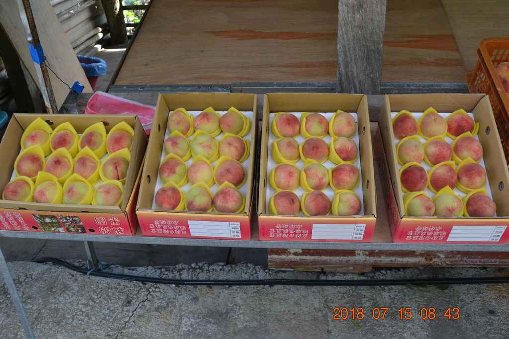 DSC_0014.JPG DSC_0014.JPG