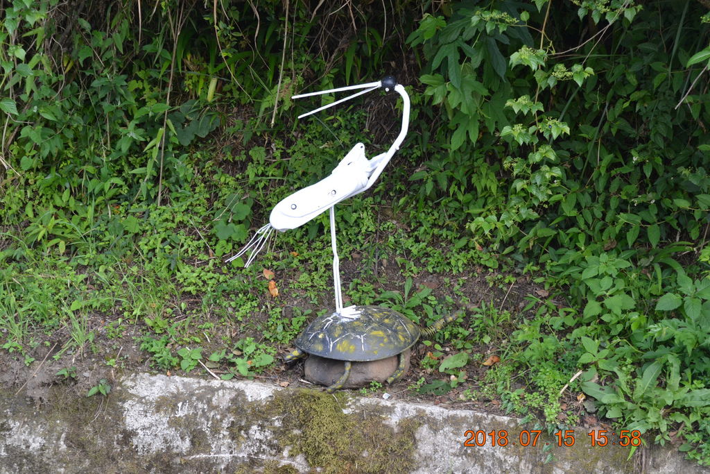 DSC_0315.JPG DSC_0315.JPG