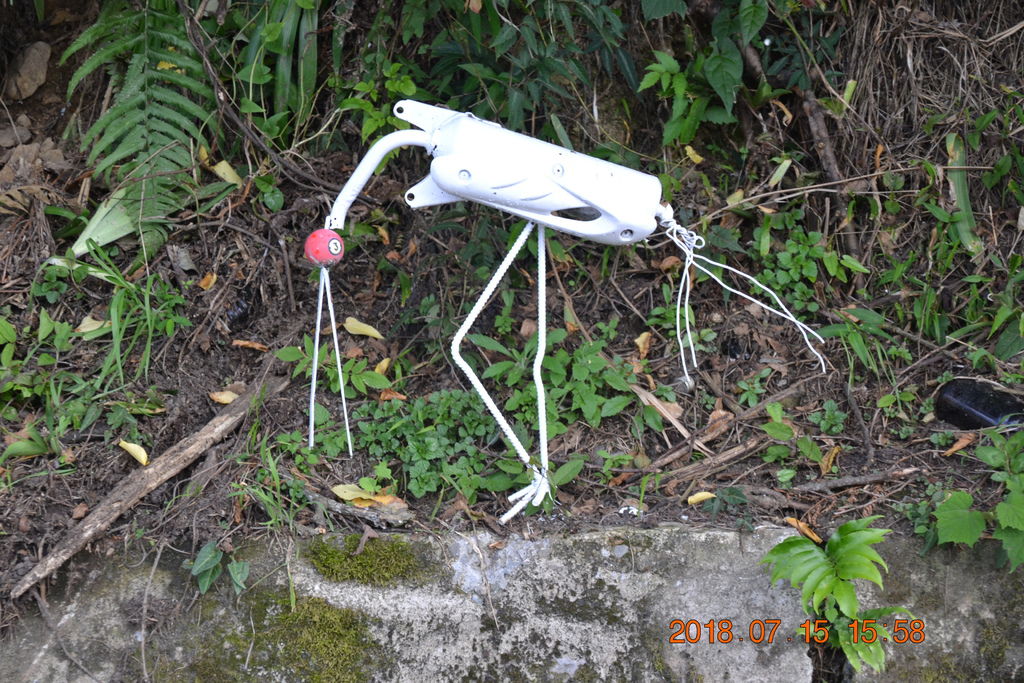 DSC_0317.JPG DSC_0317.JPG