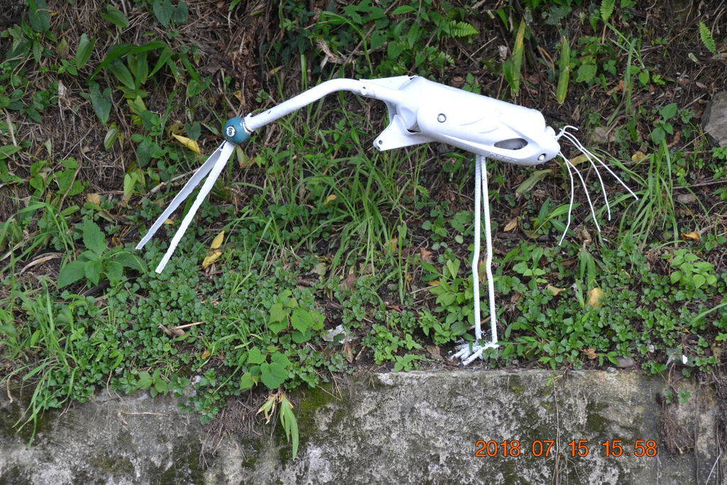 DSC_0318.JPG DSC_0318.JPG